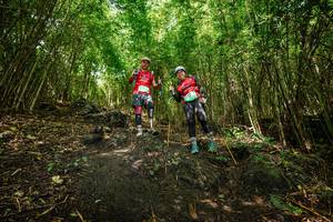 BIB: 
                            <button type="button" onclick="openModal(25101575)" class="btn btn-primary btn-sm float-right btn-popup" data-toggle="modal" data-target=".modal-high-quality">
                        <i class="fas fa-shopping-cart"></i> Add to Cart
                    </button>
                                            <button type="button" onclick="isThisMe(25101575, true)" class="btn btn-success btn-sm float-right btn-popup btn-isme hidden" data-toggle="tooltip" data-placement="bottom" title="นี่คือรูปของคุณใช่ไหม คลิกที่นี่เพื่อเอาเข้าอัลบั้ม">
                        <i class="fas fa-plus"></i> Add to album
                    </button>
                    <button type="button" onclick="isThisMe(25101575, false)" class="btn btn-warning btn-sm float-right btn-popup btn-isnotme hidden">
                        <i class="fas fa-ban"></i> Remove from album
                    </button>